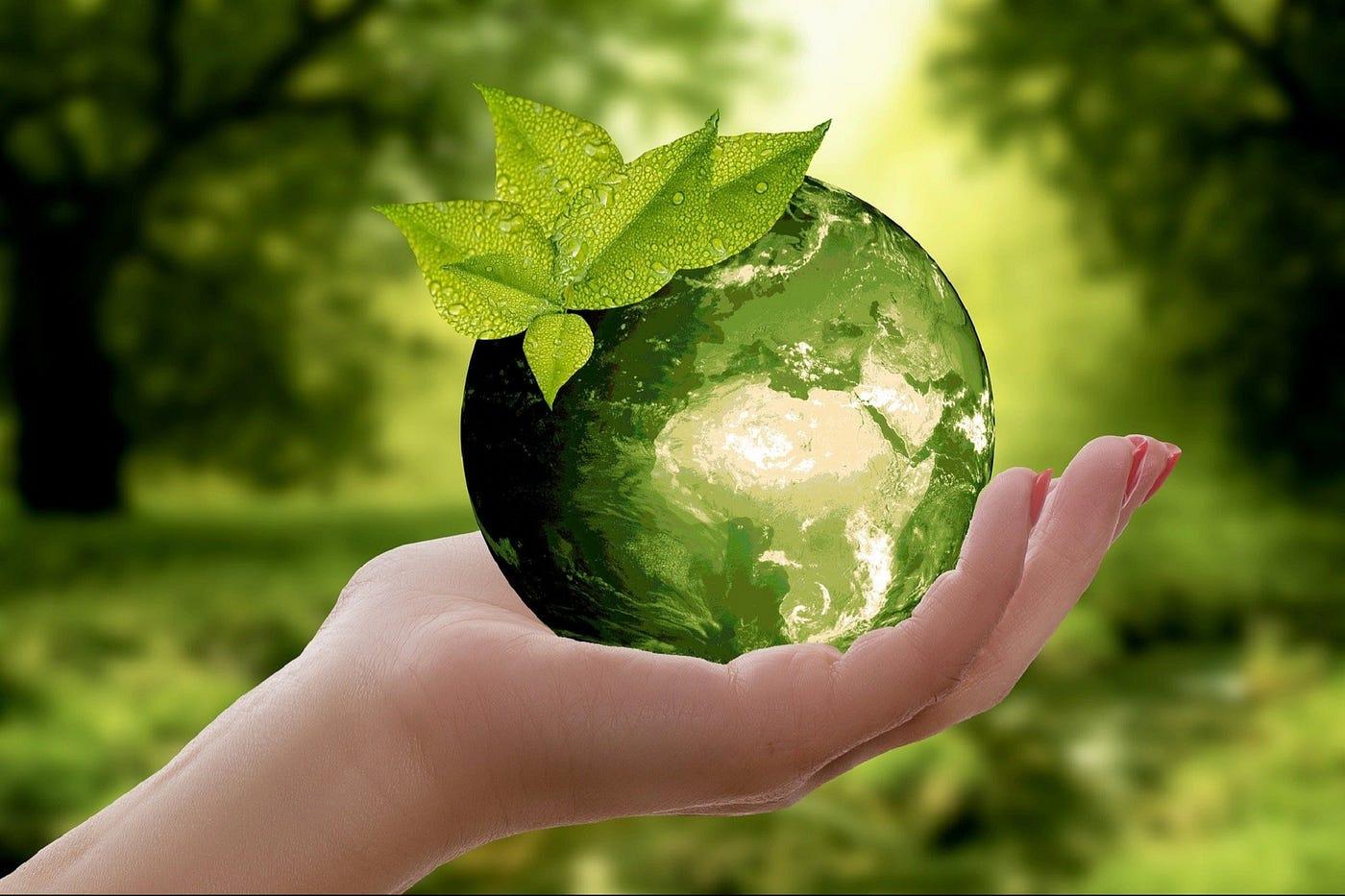 Eco-conscious consumers shopping sustainably